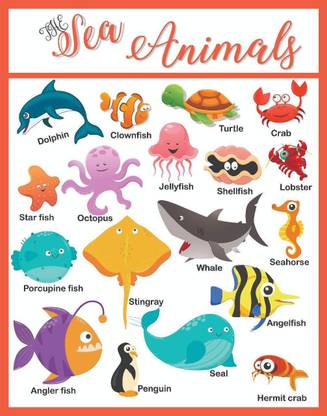 Sea Animals Educational Charts for Kids Home and School A3 Size. Photographic Paper