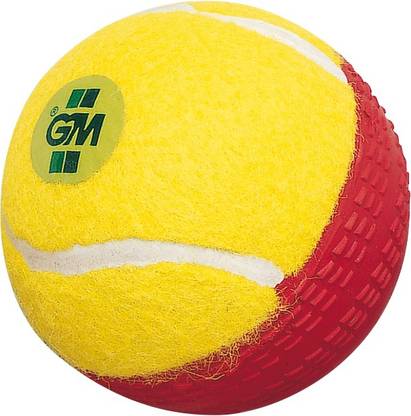 GM Swing King Cricket Leather Ball