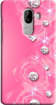 PEGANORM Back Cover for 10.or G