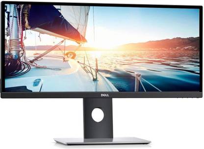 DELL 29 UltraSharp 73.66 cm (29 inch) Full HD LED Backlit IPS Panel Monitor (U2917W)