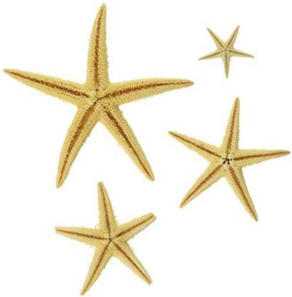 Century Novelty 30 Pcs. Bulk Starfish - Starfish Decoration - Natural Starfish - Beach Theme Decor