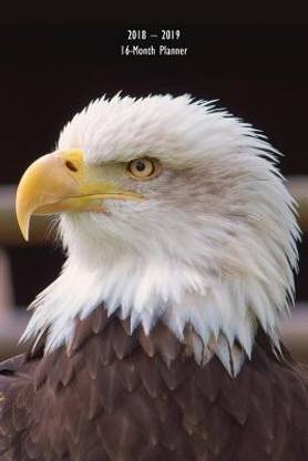 American Bald Eagle 16-Mo Planner Organizer 6"x9"
