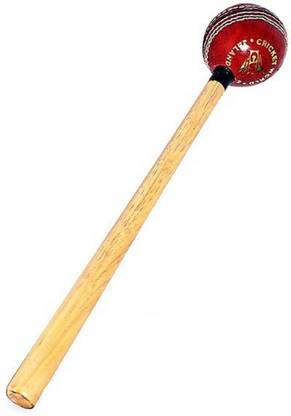 Raider CRICKET BAT KNOCKING MALLET Wood Bat Mallet