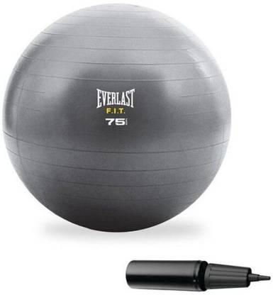 EVERLAST Stability Ball & Pump Gym Ball