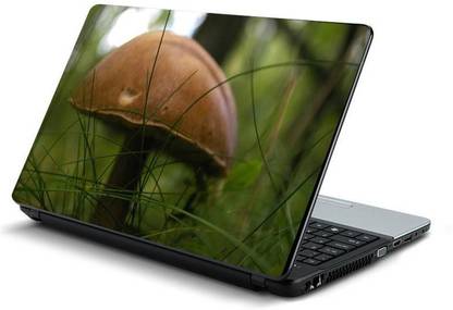 PrintHunt MULTICOLOR-237 VINYL Reusable Laptop Skin Compatible for 15.6 inch