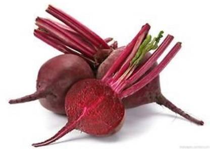 NeLeSa Gardening Beet root Seed