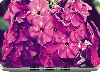 इम्बुए Pink flowers 5 डिजिटल क्वालिटी विनाइल लैपटॉप डीकैल 15.6