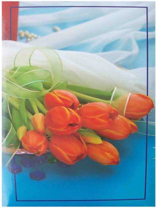 look NATURE FLOWER NATRAJ PHOTO ALBUM ( SIZE 4"x6"-204 PHOTOS POCKETS ) Album