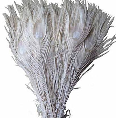 Kolight Fashion 10~12inch(25~30cm) Natural Dyed Peacock Feathers DIY Wedding Party Home Hair Decoration Feathers (25pcs, White)