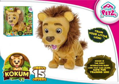 IMC Kokum The Little Lion