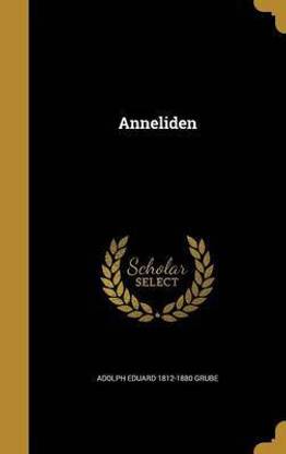 Anneliden