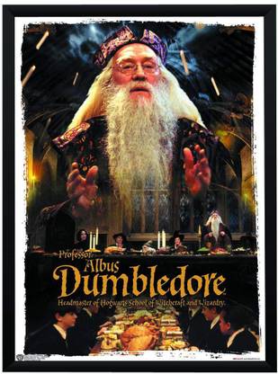 WB Official Licensed Harry Potter First Movie Albus Dumbledore Poster A3+ 13 x 19 Frame Paper Print