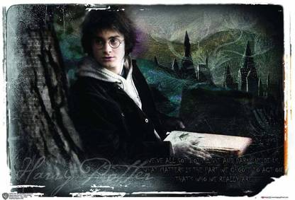 WB Official Licensed Harry Potter Book Who We Really Are Motivational Quote Poster A3+ 13 x 19 inches Paper Print