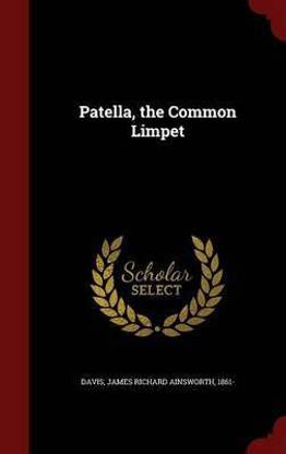 Patella, the Common Limpet