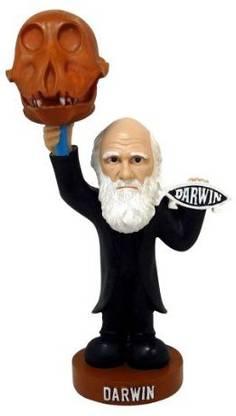 Oddbobbles Charles Darwin Bobblehead Statue
