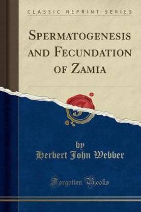 Spermatogenesis and Fecundation of Zamia (Classic Reprint)
