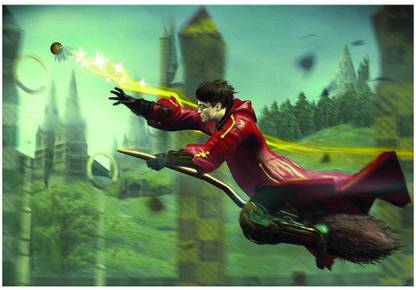 Herry Potter Quidditch Poster A3+ 13 x 19 inches Paper Print