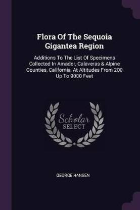 Flora Of The Sequoia Gigantea Region