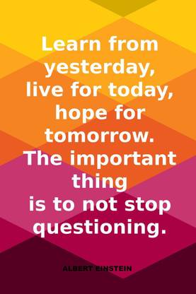 Never Stop Questioning Albert Einstein Quote Wall Art Poster Fine Art Print Art Paintings Posters In India Buy Art Film Design Movie Music Nature And Educational Paintings Wallpapers At