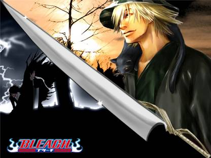 Athah Anime Bleach Kisuke Urahara Zangetsu Yoruichi Shihôin 13*19 inches Wall Poster Matte Finish Paper Print