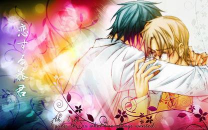 Athah Anime The Tyrant Who Fell In Love Morinaga Tetsuhiro Tatsumi Souichi Koisuru Boukun 13*19 inches Wall Poster Matte Finish Paper Print