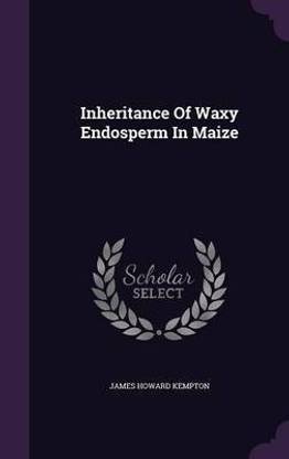 Inheritance Of Waxy Endosperm In Maize