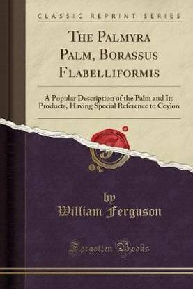 The Palmyra Palm, Borassus Flabelliformis