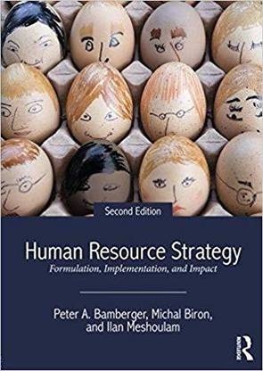 Human Resource Strategy : Formulation Implementation And Impact, 2Nd Edn