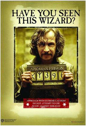WB Official Licensed Harry Potter Sirrus Black Have You Seen The Wizard Poster A4 Paper Print