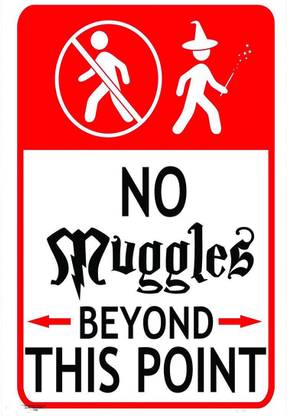 WB Official Licensed Harry Potter No Muggles Beyound This Point Poster A4 Paper Print