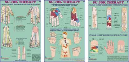 Sujok Therapy Chart-Set Of 3 Size 20"x30"