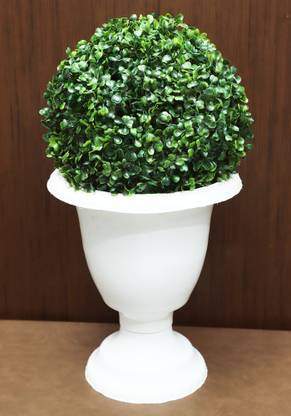 PROGALLERY GREEN ARTIFICIAL FLOWER BALL Green Assorted Artificial Flower  with Pot