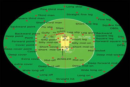 Cricket fielding positions 55 Poster Paper Print
