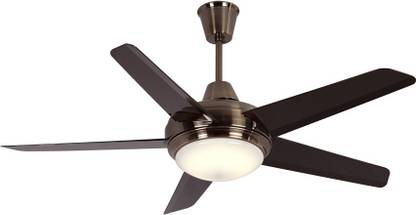 Windkraft Aroma 54 Inches Ceiling Fan (Anti Brass) with 1 Year Warranty 1371 mm Ceiling Fan