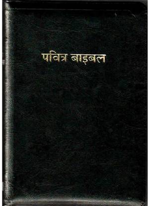 The Holy Bible In Hindi