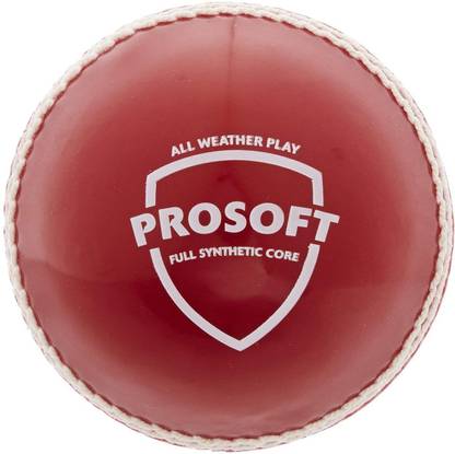 SG Prosoft Cricket Training Ball