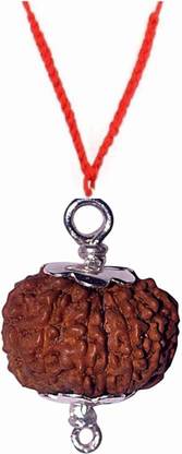 SSG Collections | 8 Mukhi/Faced Rudraksha Pendant, Indonesia/ Java Originated, With Silver Coated Capping (Bead Size: 18-20mm) | 100% Original & Natural Rudrakash | Wood Pendant
