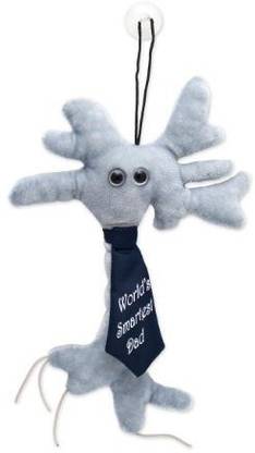 GIANT Microbes Brain Cell Smartest Dad Science Kit