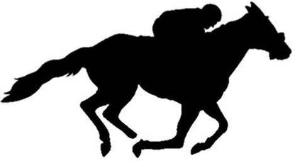 Genrc Race Horse Racing Jockey 1139;39; x 8.539;39; Custom Stencil Fast