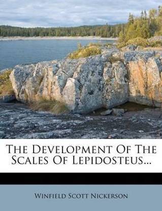 The Development of the Scales of Lepidosteus...