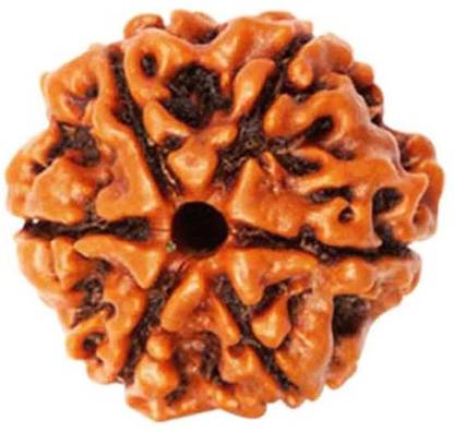 आदिगांगे 6 Mukhi Rudraksh लकड़ी