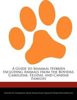 A Guide to Mammal Hybrids Including Animals from the Bovidae, Camelidae, Felidae, and Canidae Families