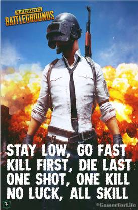 Pubg Game Poster Paper Print