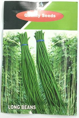 Quality Seed PBC Quality Seeds Long Beans … Seed