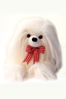 Toy pomeranian white clearance