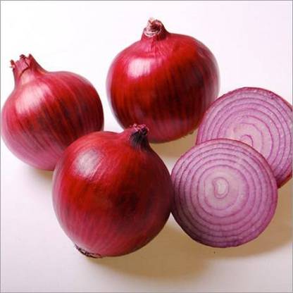 syed garden ROSE ONION, 100 seed Seed
