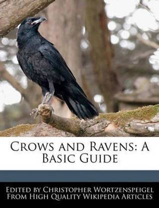 Crows and Ravens