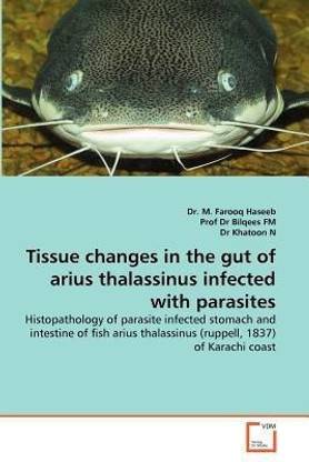 Tissue changes in the gut of arius thalassinus infected with parasites