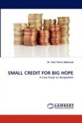 Small Credit for Big Hope