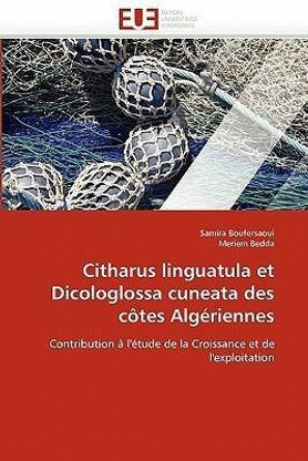 Citharus Linguatula Et Dicologlossa Cuneata Des C tes Alg riennes